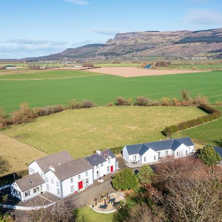 Willow House Bed & Breakfast And Orchard Studios Self Catering 리머배디 외부 사진