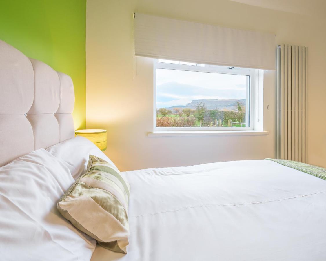 Willow House Bed & Breakfast And Orchard Studios Self Catering 리머배디 외부 사진