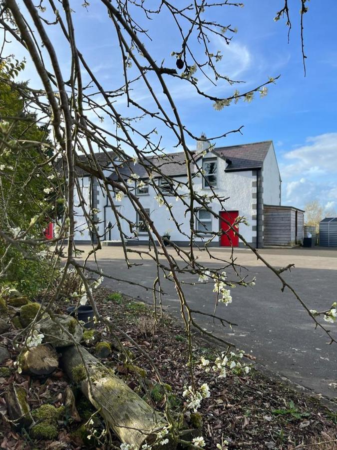 Willow House Bed & Breakfast And Orchard Studios Self Catering 리머배디 외부 사진
